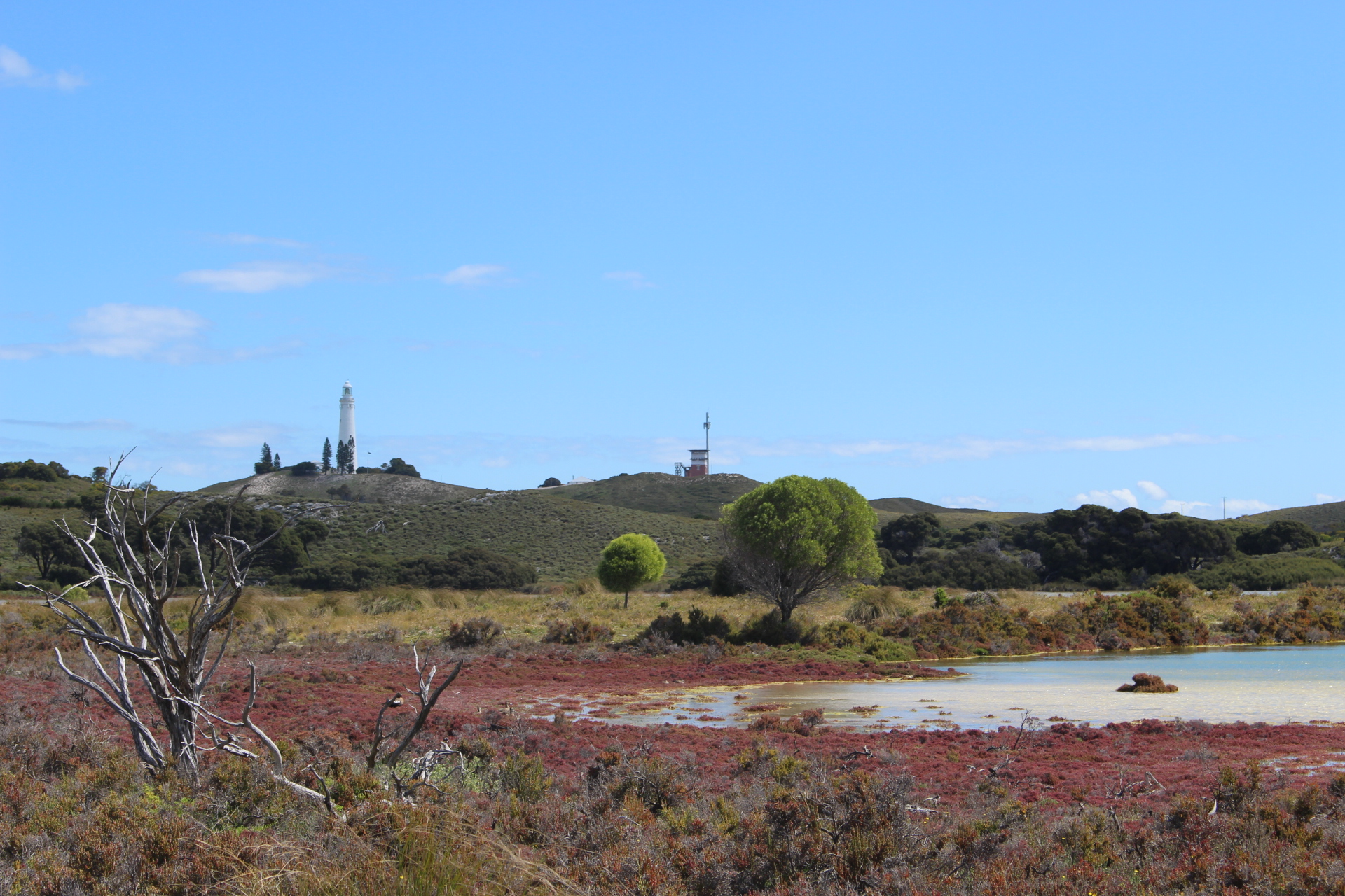 lac rose Rottnest ISland et sa biodiversite
