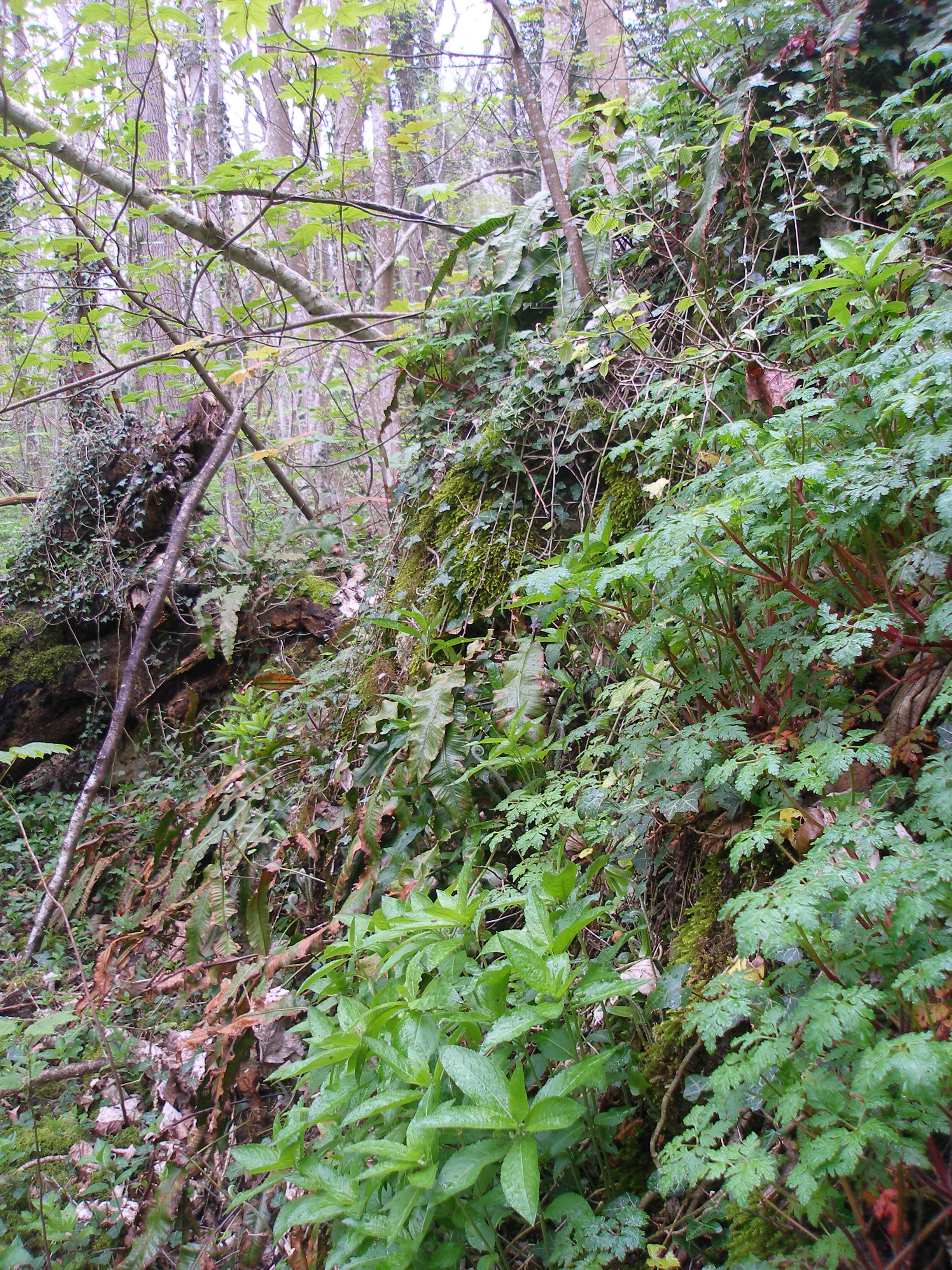 biodiversité dans le Vexin
