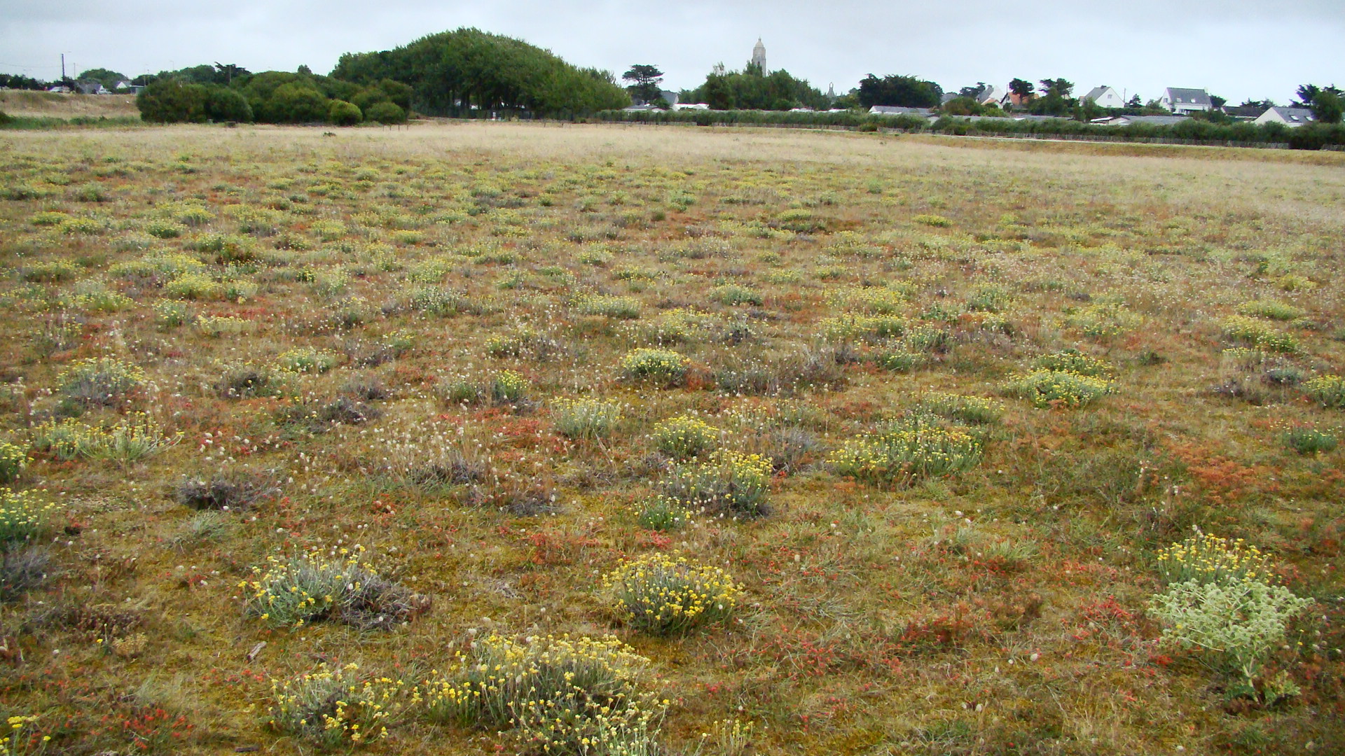 zone préservée sur le littoral
