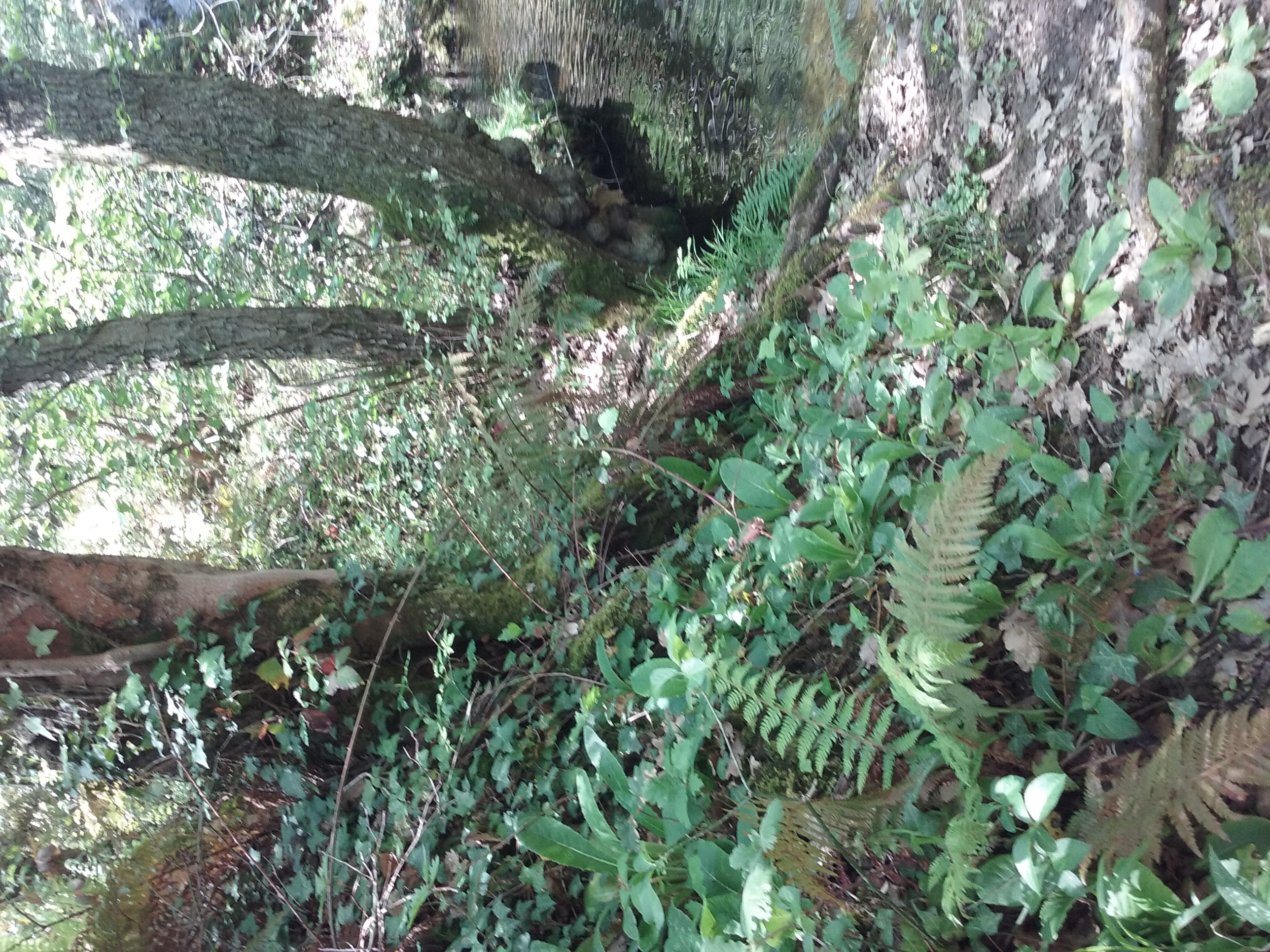biodiversité ardèche