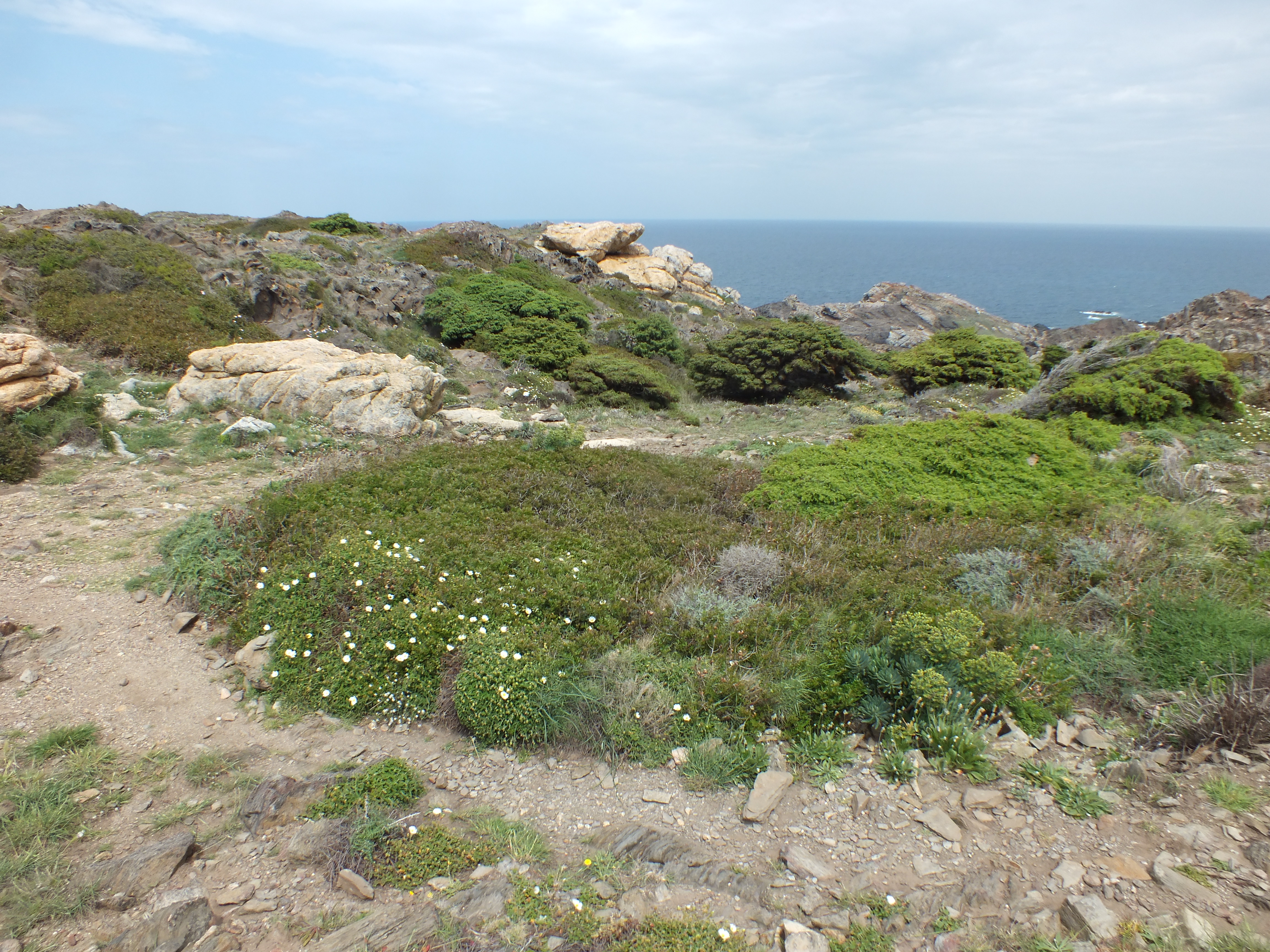 Cap de Creus, Catalogne, Espagne