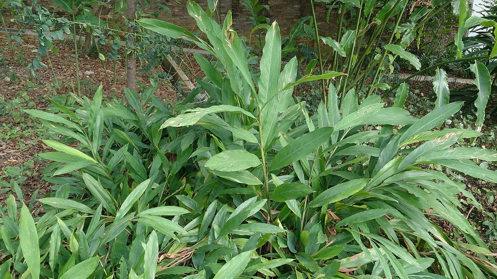 Annexe mainImage-source-12611791.jpg