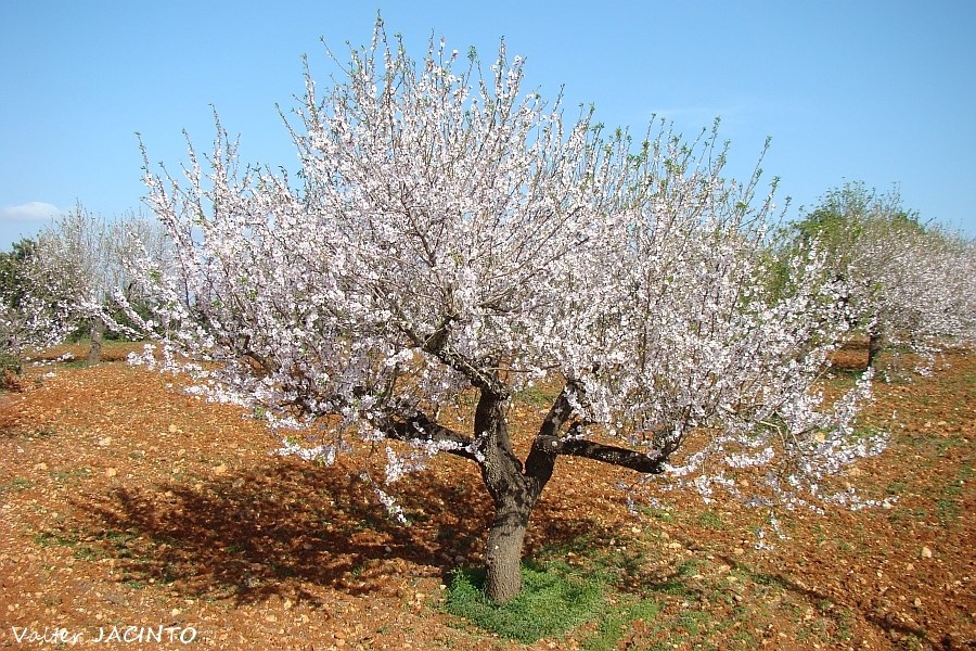 Annexe 2269108890-e9d09a528f-o.jpg