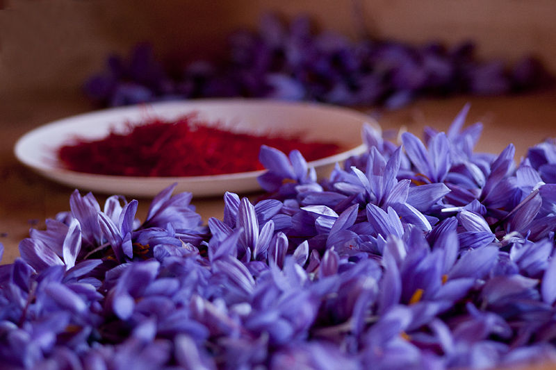 Annexe Safran Ourika.jpg