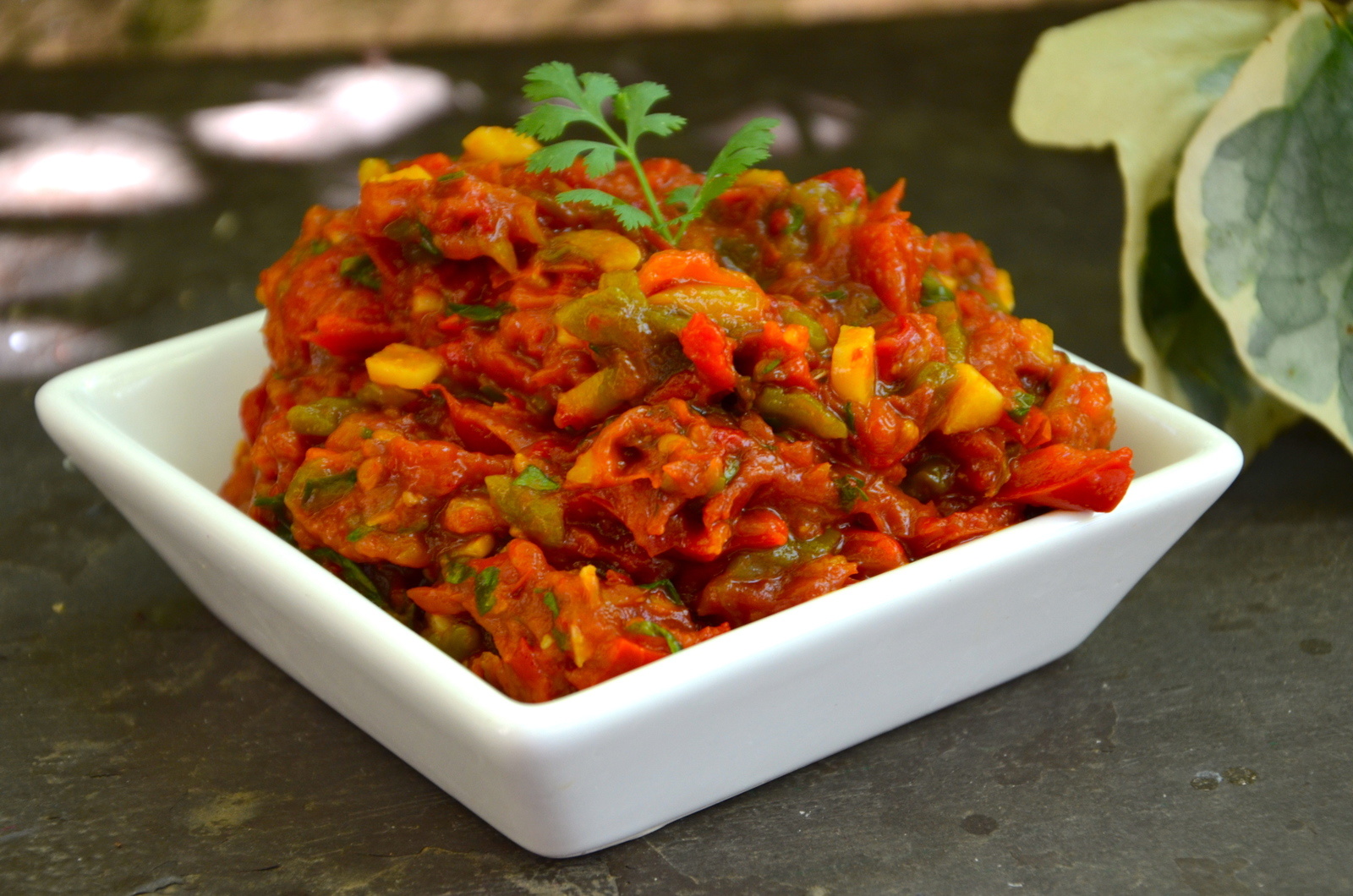 Annexe La Tchoutchouka.JPG