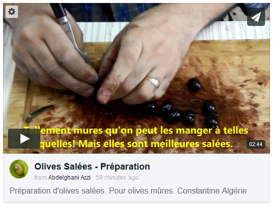 Olives Salées Vidéo Azzi