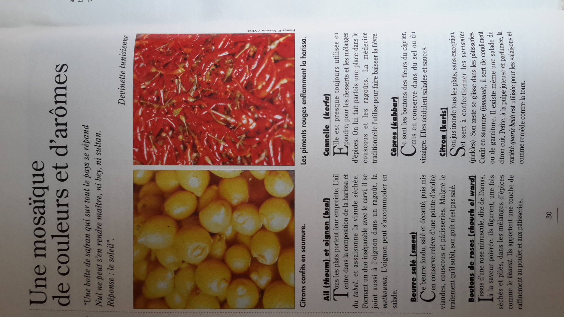 Mosaïque de couleurs et d'aromes