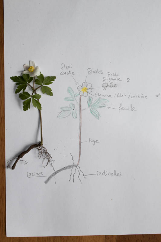 Annexe 02042018-043A5524.jpg