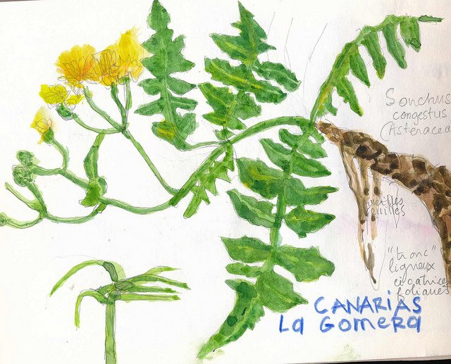 Annexe 36019500996_06ec8923bd_z.jpg