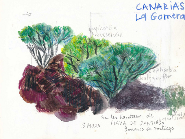 Annexe Euphorbes, La Gomera