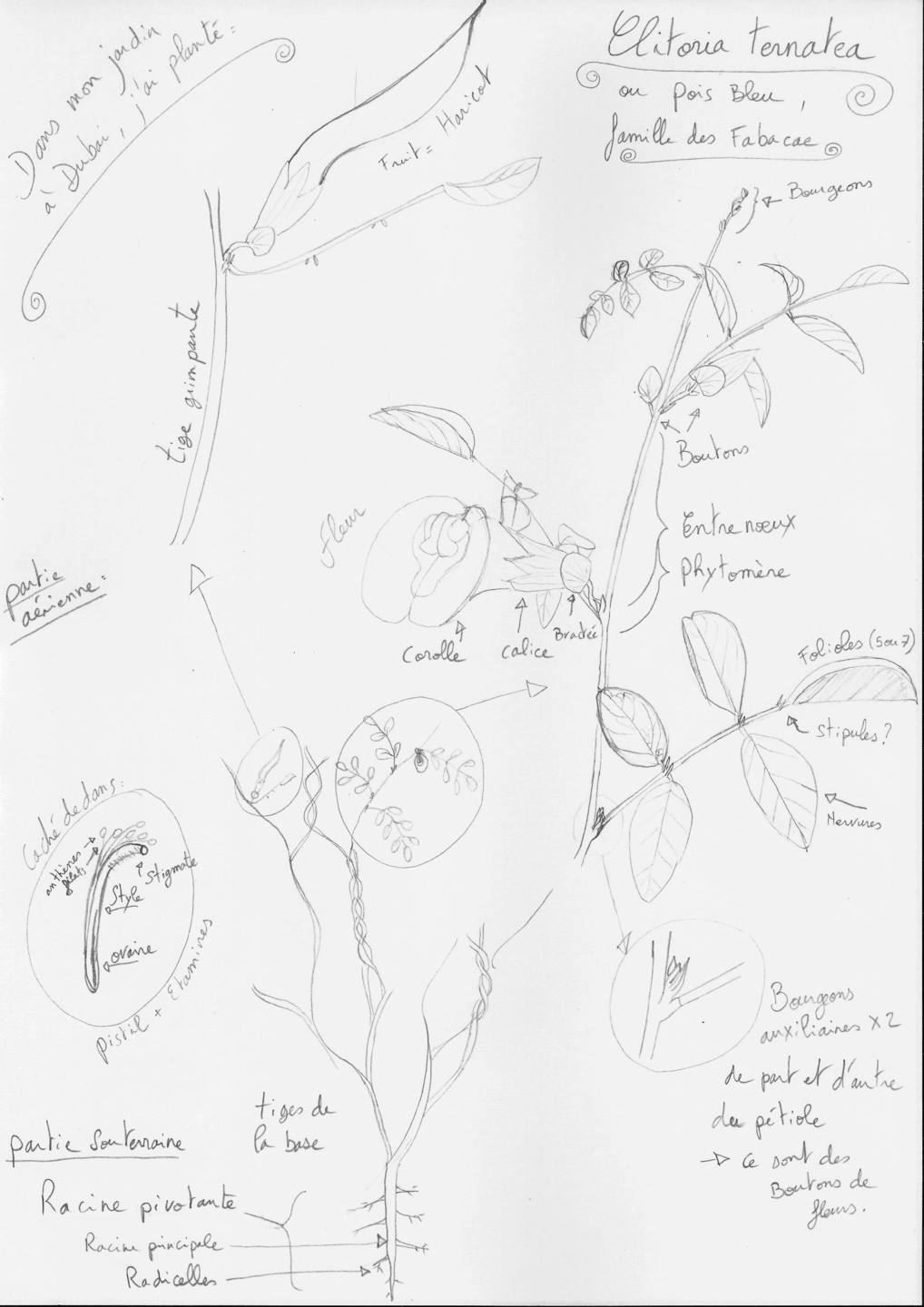 Annexe PhotoScan2.jpg