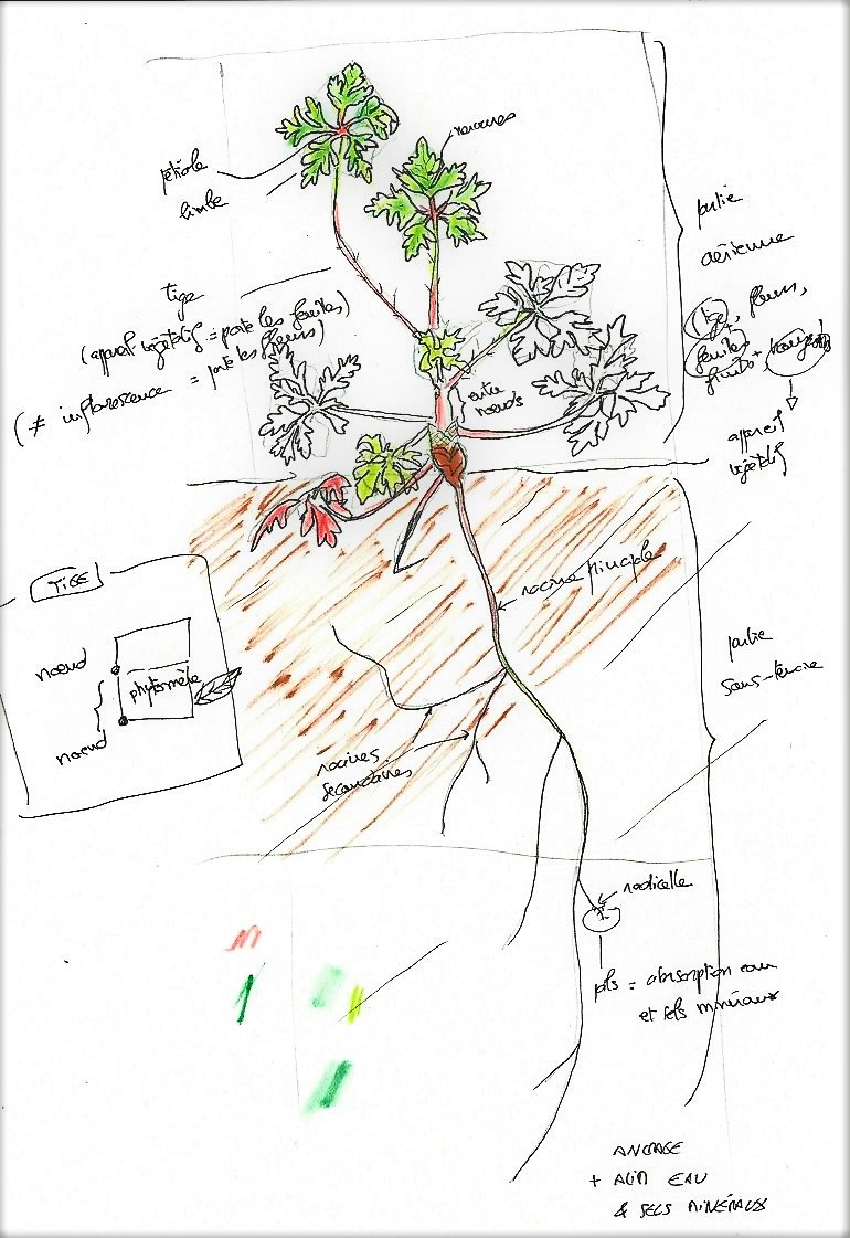 Annexe Numérisation_20180403.jpg