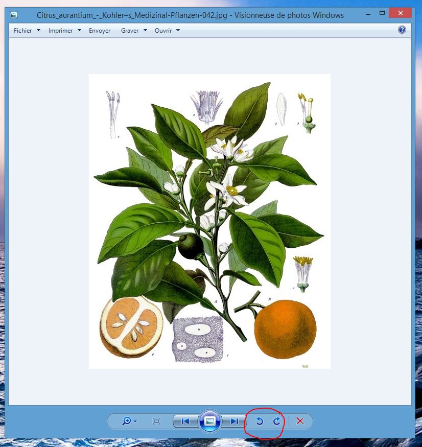 Annexe visionneuse_windows.JPG