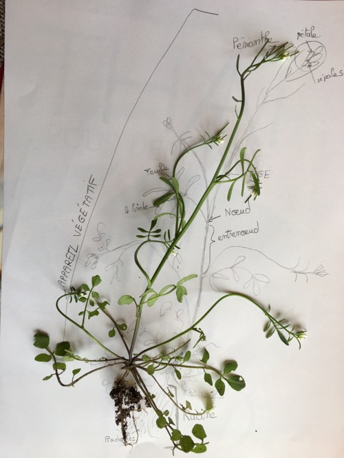 Annexe 3F74CBD2-DD29-4657-888D-57DB36896DBF.jpeg