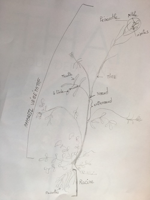 Annexe 5E8B9E7D-9FF3-4F6A-ABEF-D8DF285A9B76.jpeg