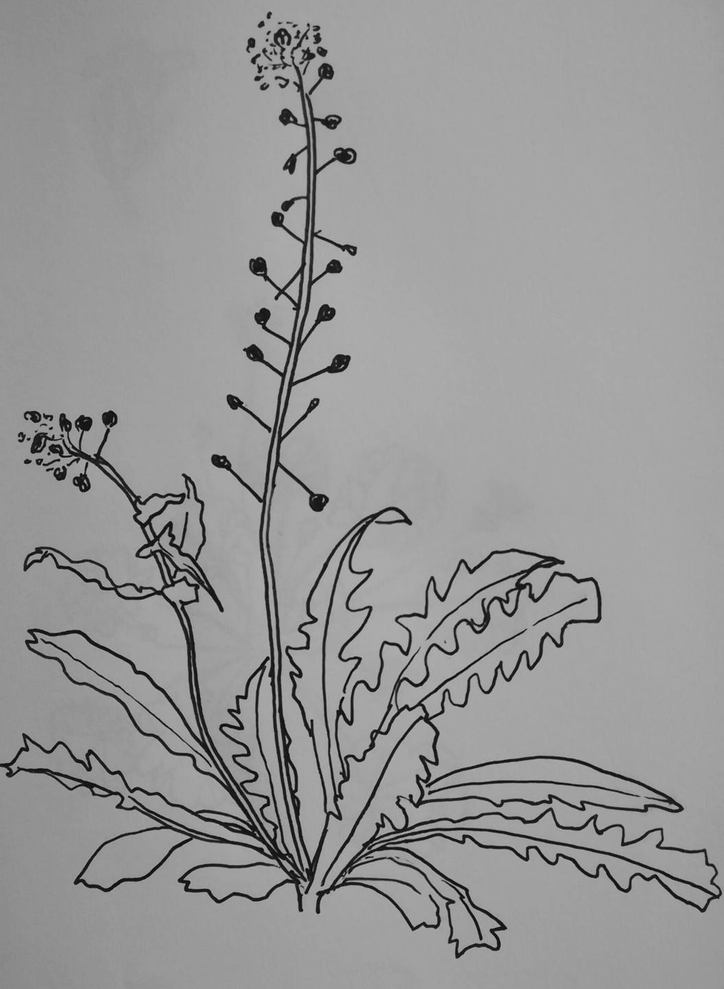 Annexe IMG_20180403_221949.jpg