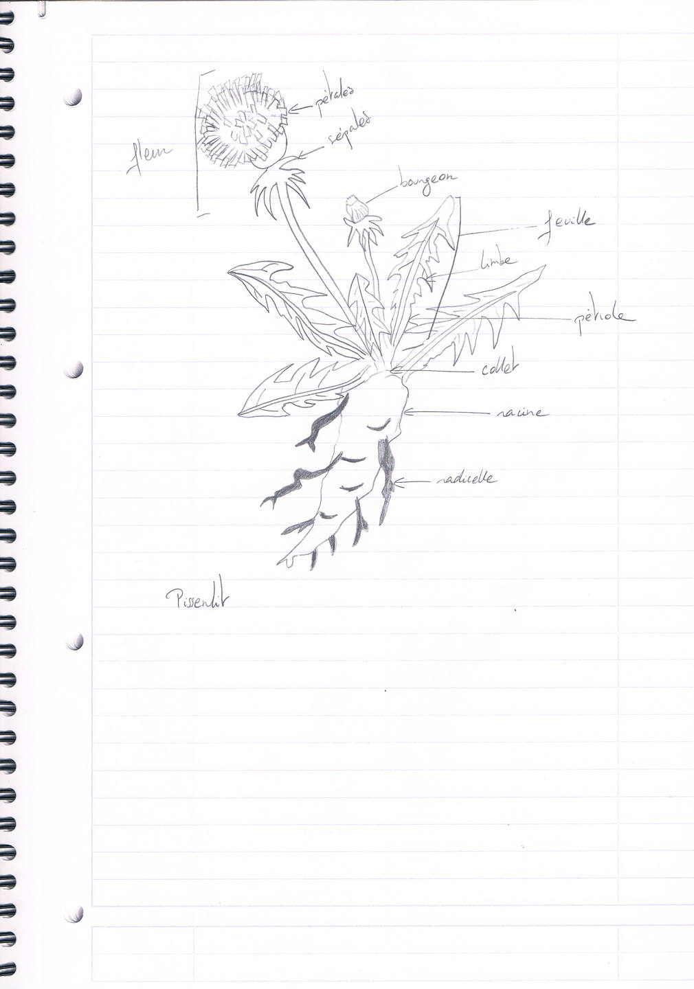 Annexe CCF04042018_00000.jpg