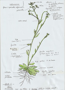 Annexe Numérisation_20180403-1.jpg
