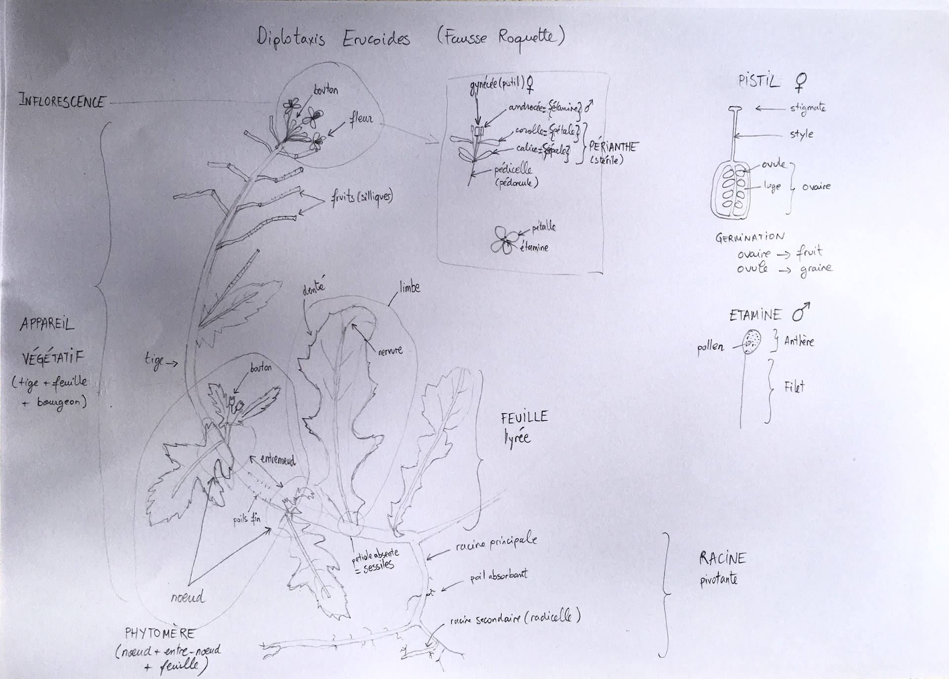 Annexe IMG-0712-small.jpg