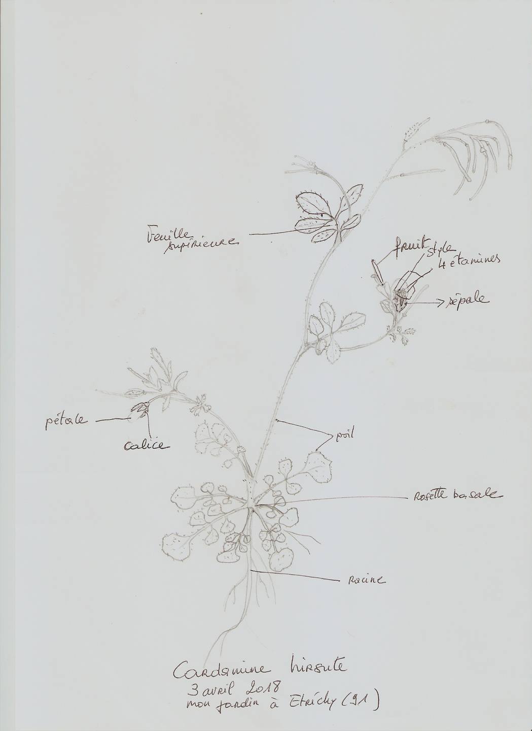 Annexe numérisation0004.jpg