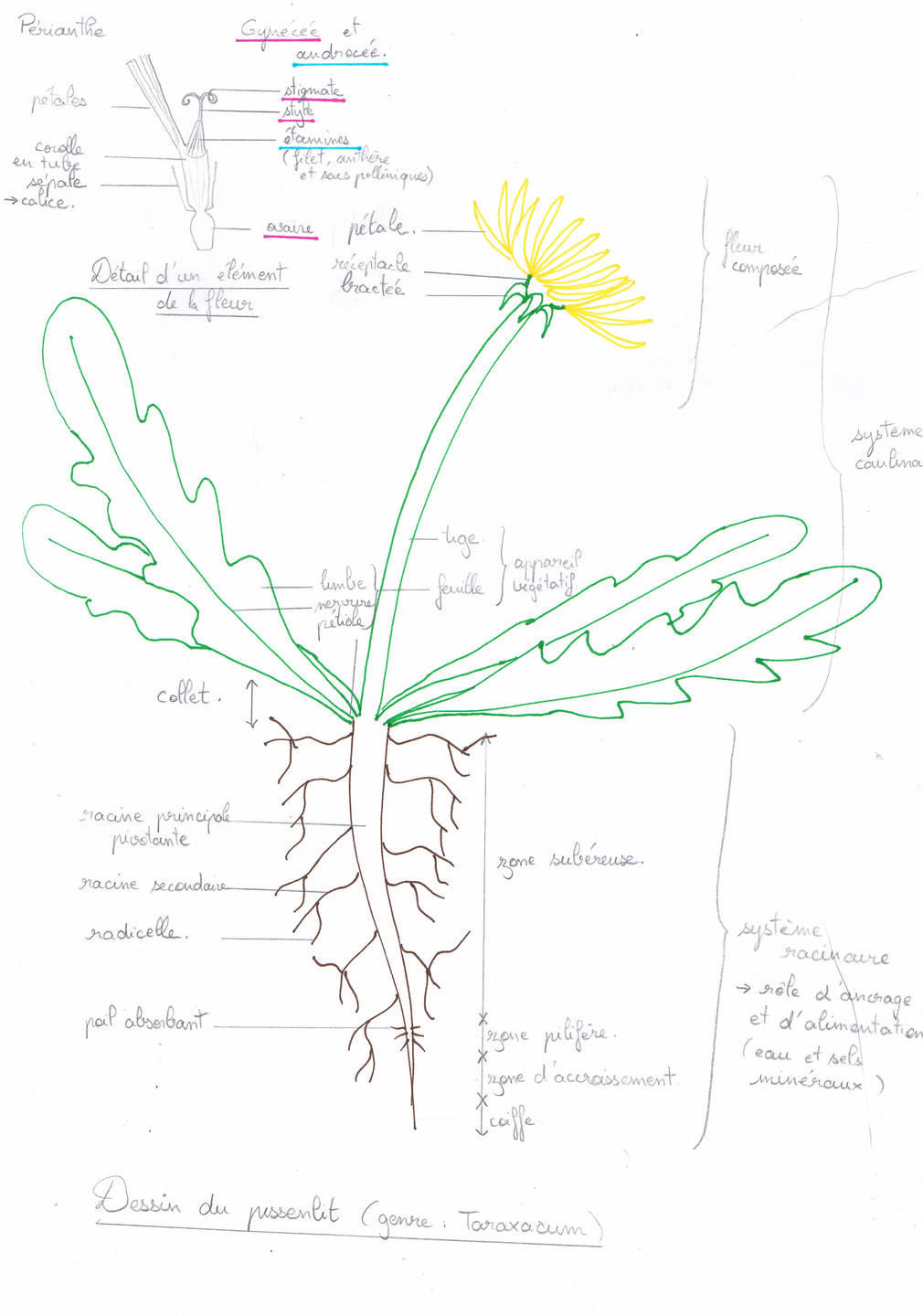 Annexe CCF05042018_00000.jpg