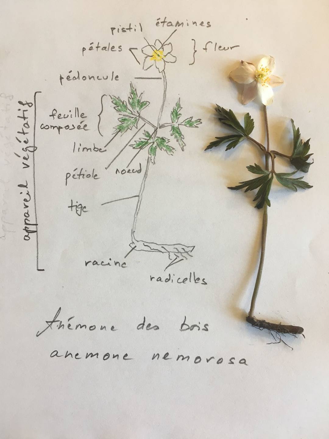 Annexe ea4e793f-24eb-498e-81fe-603279a6792b 2.jpg