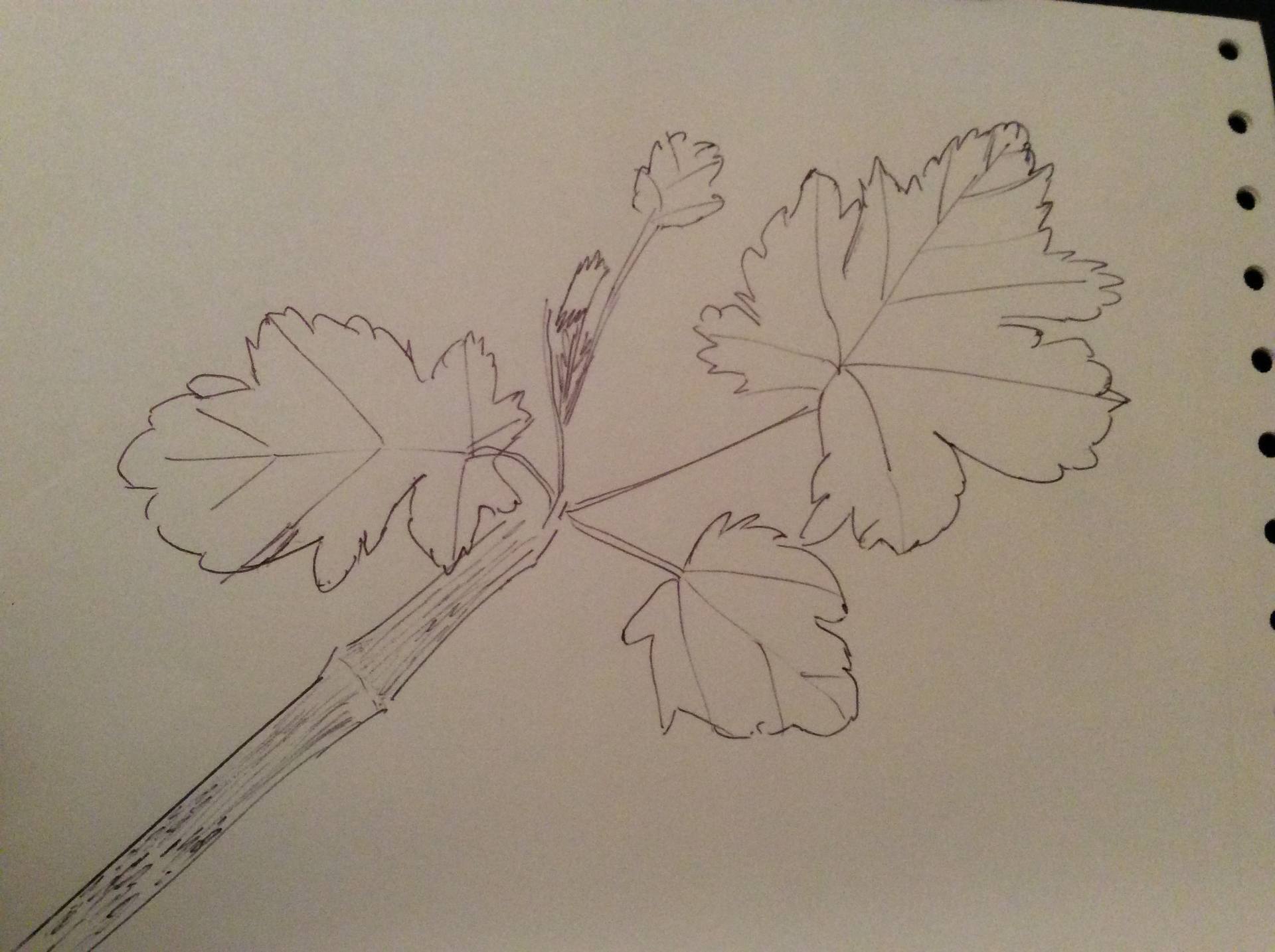 Annexe 2B1E183A-D2FF-476B-9F75-5D2594F6FDBC.jpeg