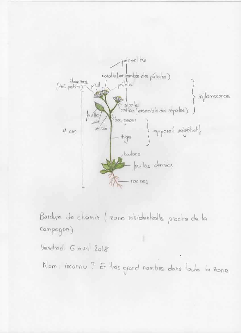 Annexe Numérisation_20180407.png