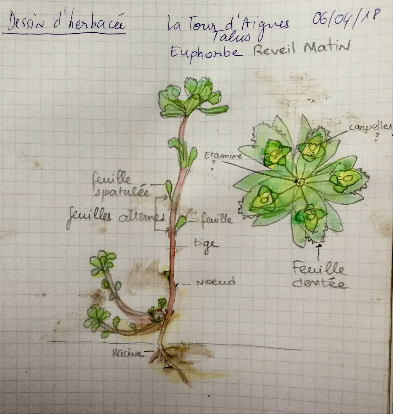 Annexe 042DC6AB-31C2-4867-AAC3-5D5455F3FBCD.jpeg