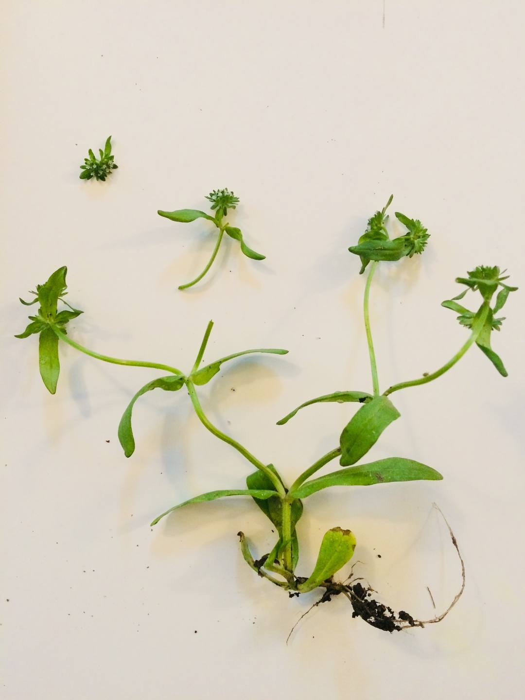 Annexe IMG_3556-min.jpg