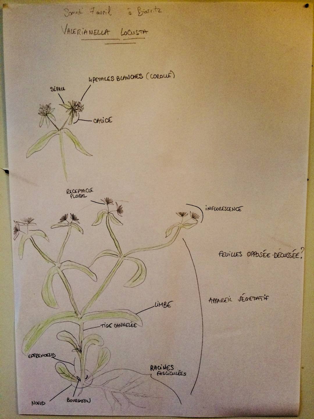 Annexe IMG_3558-min-min.jpg