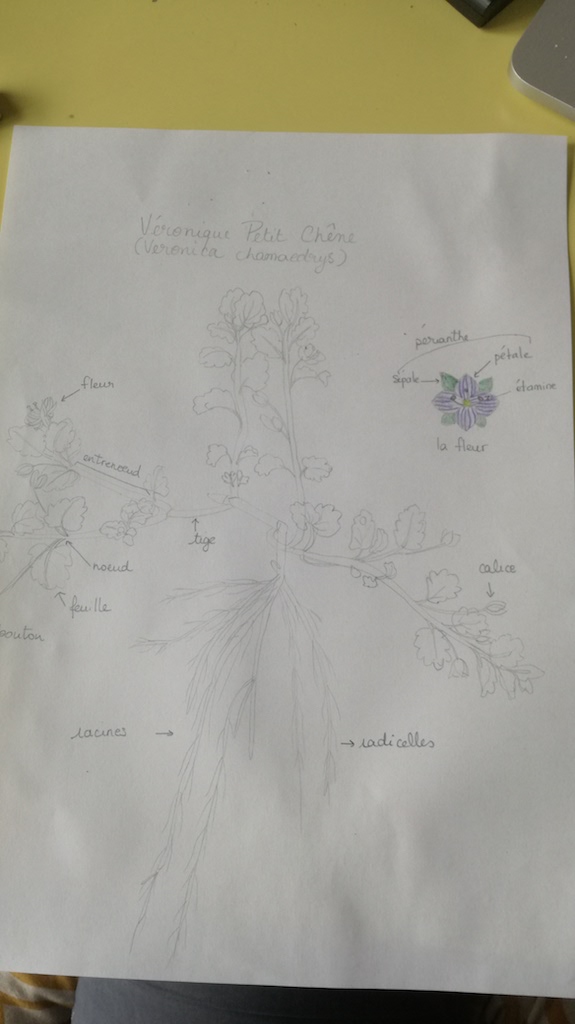 Annexe IMG_20180407_171453.jpg