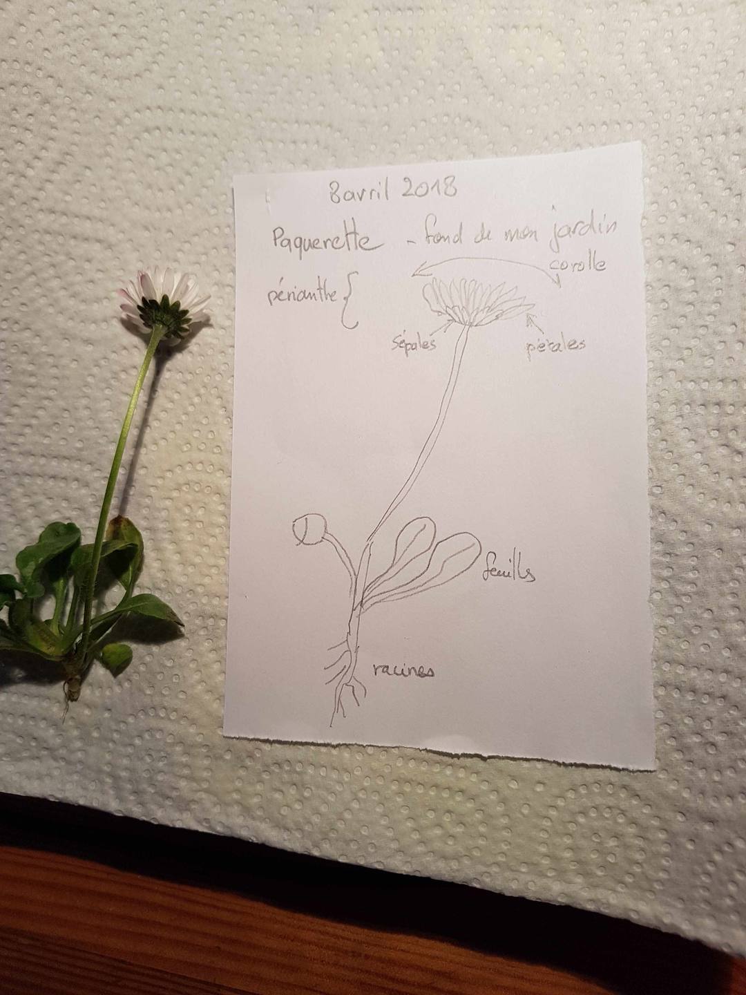 Annexe 20180408_184835.jpg