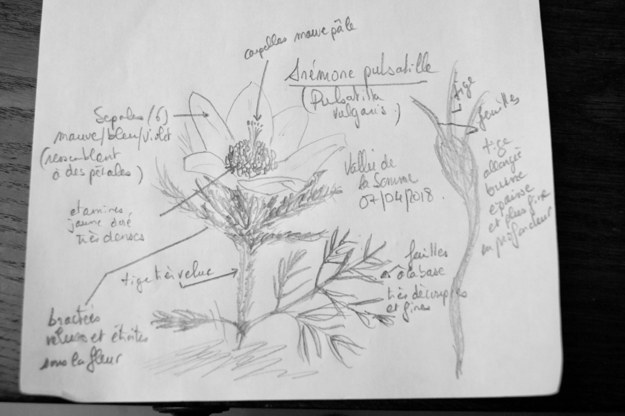 Annexe DSC03849 (1).jpg