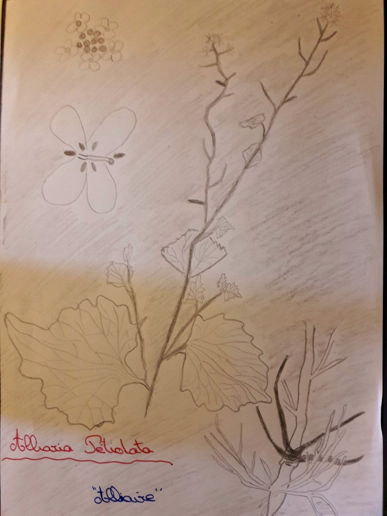 Annexe 20180409_092121-768x1024.jpg