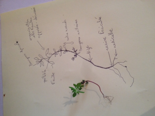 Annexe thumbnail_IMG_3427.jpg