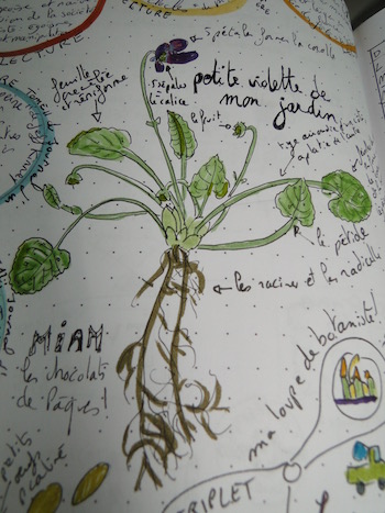 Annexe violette 3 stylo et feutre.jpg