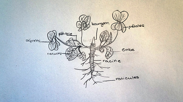 Annexe DSC09977 copie.JPG