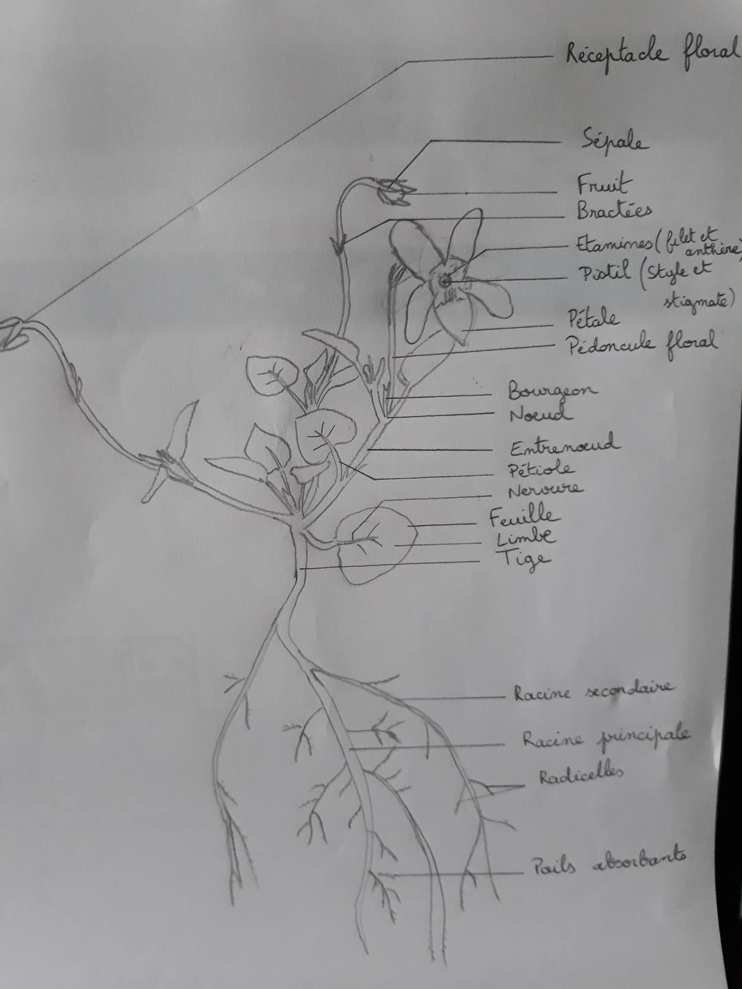 Annexe 20180409_192325-min.jpg