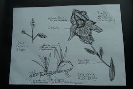 Annexe P1070258 (1).jpg