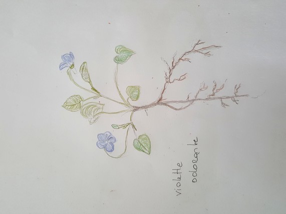 Annexe 20180410_171621.jpg