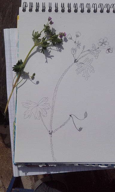 Annexe 20180410_161135.jpg