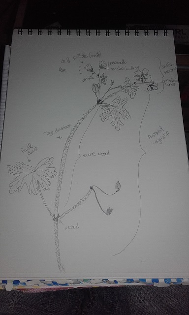 Annexe 20180410_174601.jpg