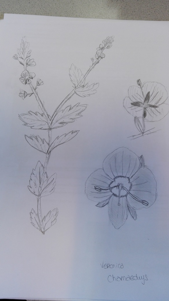 Annexe IMG_20180412_093659.jpg