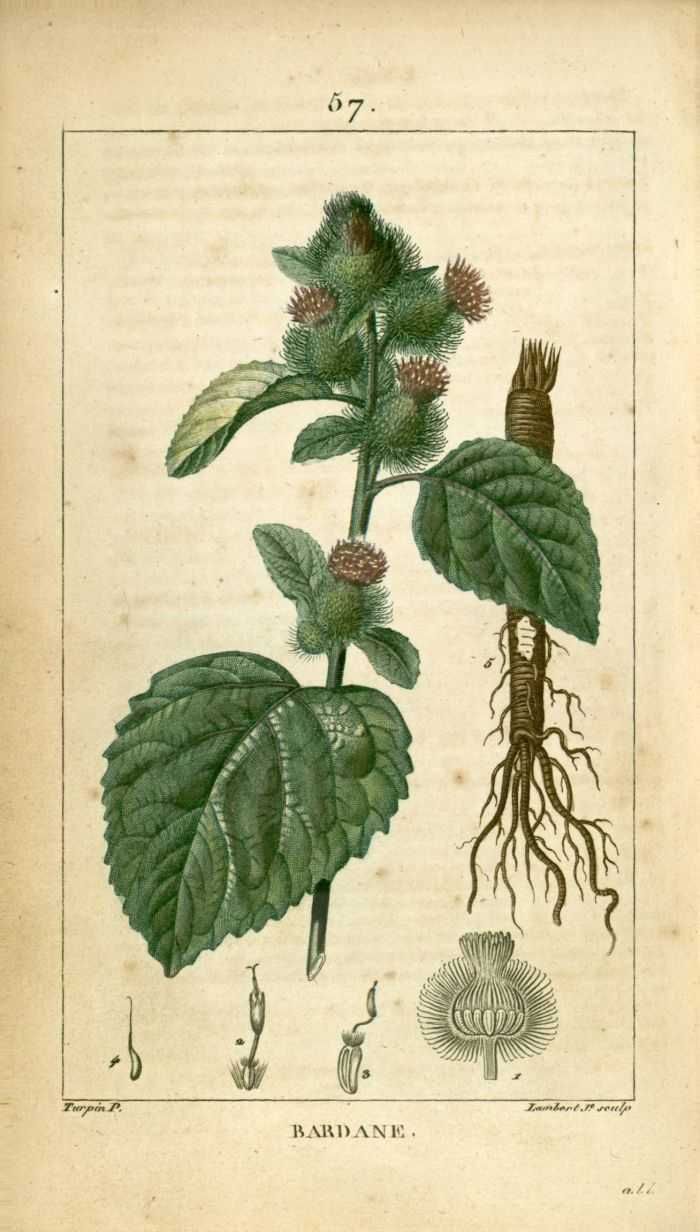 Annexe d5c7788e0b0af0f825200b7a56dba599.jpg