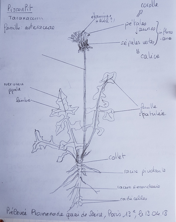 Annexe 2018-04-13_02_05_48.jpg