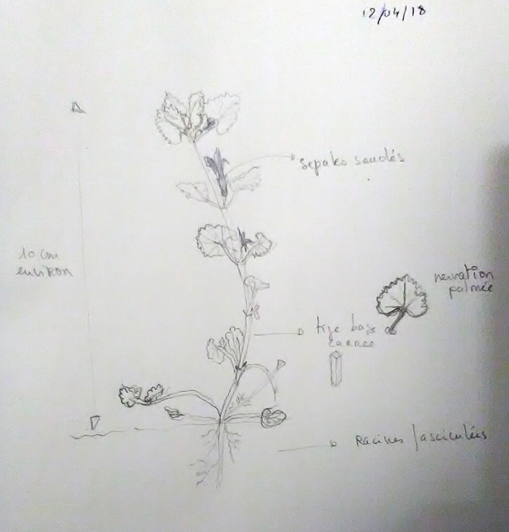 Annexe IMG_20180413_233716.jpg