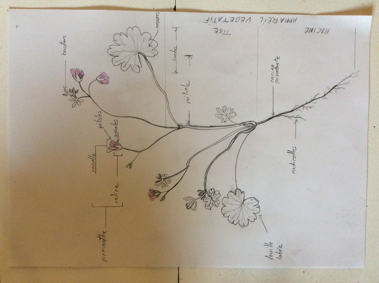 Annexe 929568BC-FB90-431B-BC03-8CAA78F9145E.jpeg