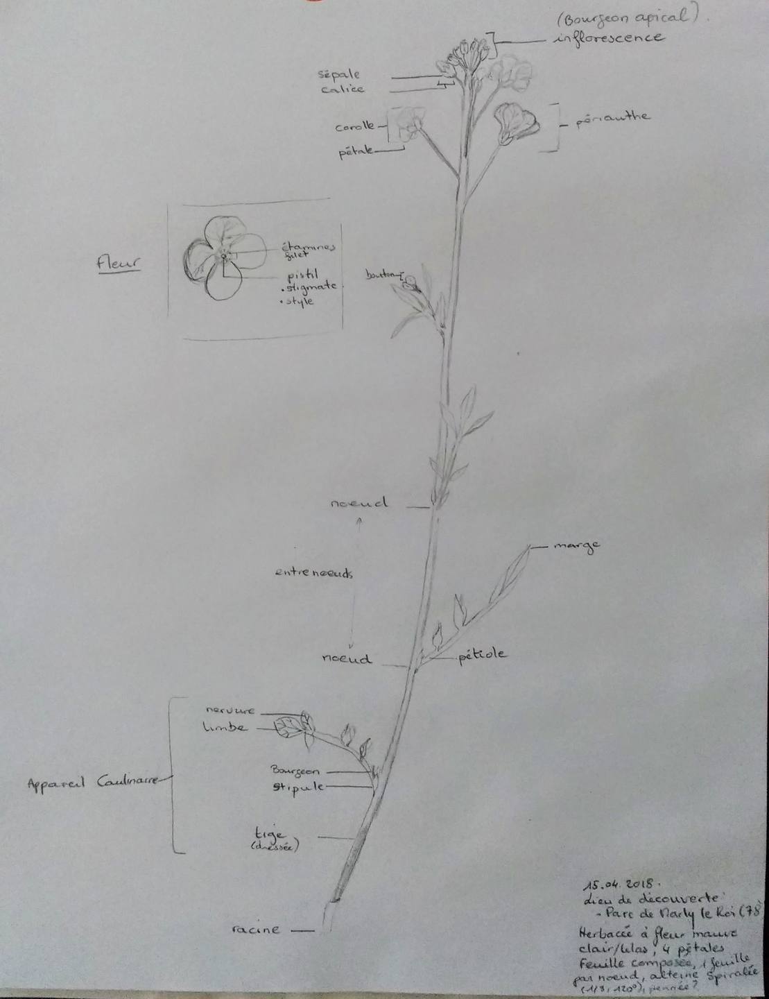 Annexe IMG_20180415_203051686.jpg