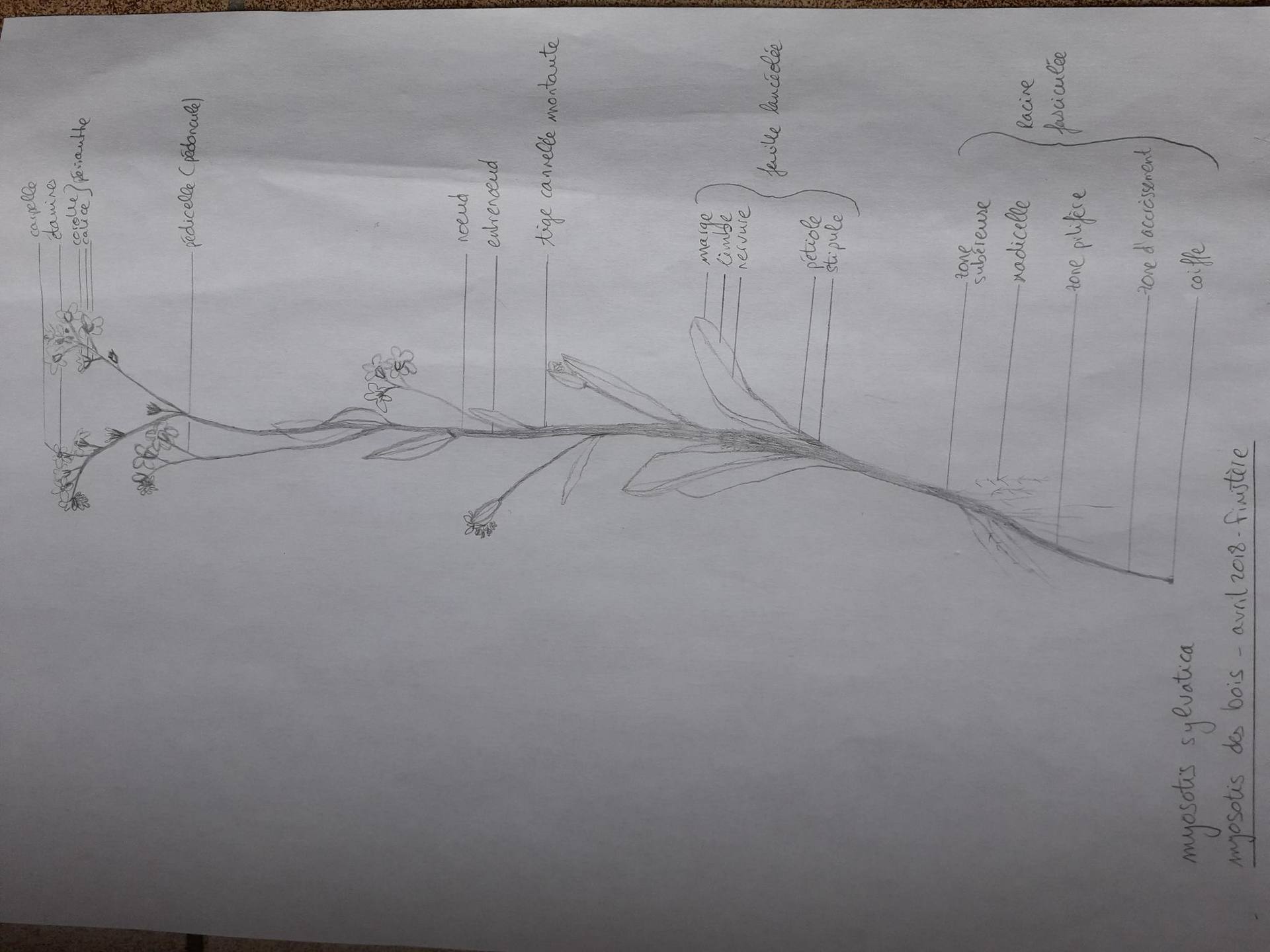 Annexe 20180415_204947-1.jpg